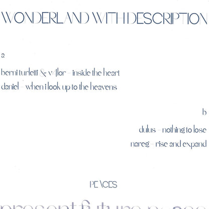 Various - Wonderland With Description (WHITE VINYL 12" Peaces PSC06) | NEW Mint (M) Mint (M)-