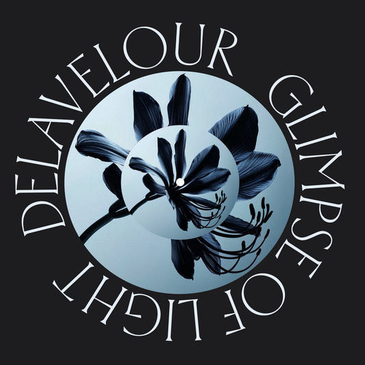 Delavelour - Glimpse Of Light (Fred Everything & Lee Curtiss Reworks) (YELLOW VINYL) | Mint (M) Mint (M)-