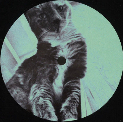Untitled (VINYL) | Mint (M) Generic-