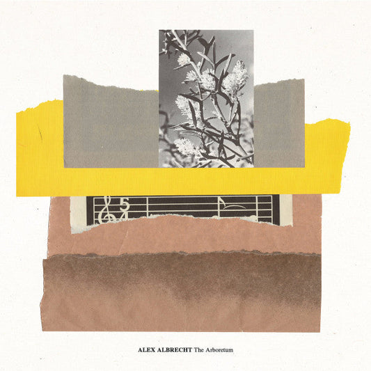 Alex Albrecht - The Arboretum (VINYL) | Mint (M) Mint (M)-