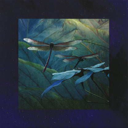 Internal Flight EP | Mint (M) Mint (M)-