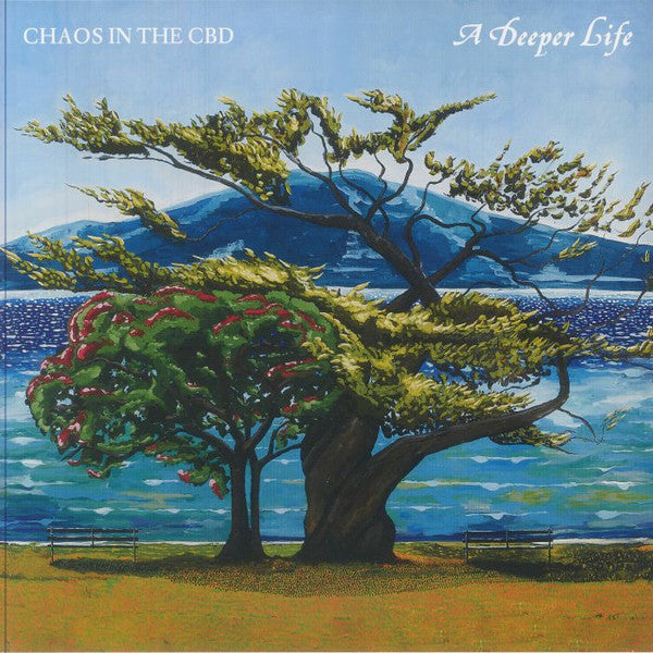 A Deeper Life (2xVINYL) | Mint (M) Mint (M)-