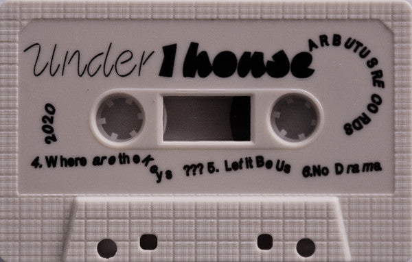 Blue Hawaii (2) - Under 1 House (Cassette) | Mint (M) Mint (M)-