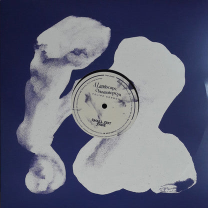 A Landscape Onomatopeya (2xVINYL) | Mint (M) Mint (M)-