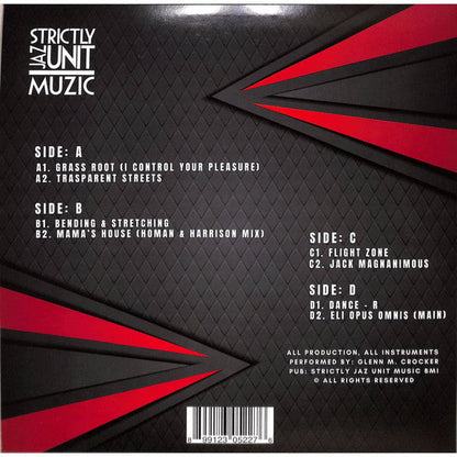 Glenn Underground - Grass Root - Tech House LP (2xVINYL) | Mint (M) Mint (M)-