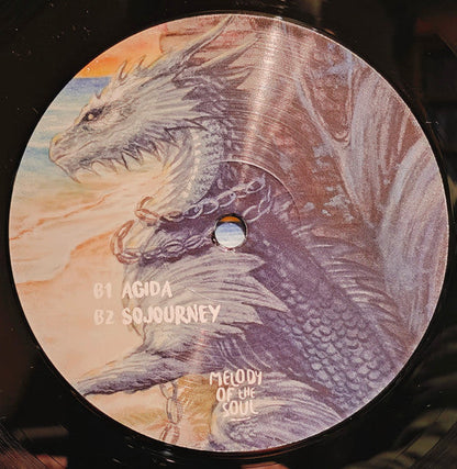Zankee Gulati - Dark Side / Sojourney (VINYL 12") | Mint (M) Mint (M)-