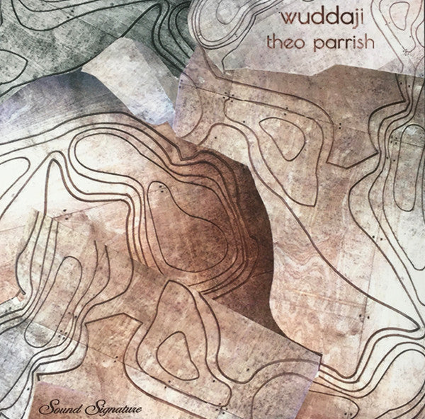 Theo Parrish - Wuddaji (3xVINYL) | Mint (M) Mint (M)-