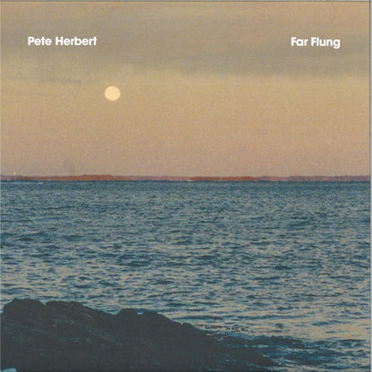 Pete Herbert - Far Flung (VINYL 12" Music For Swimming Pools MFSP011 2026) | NEW-