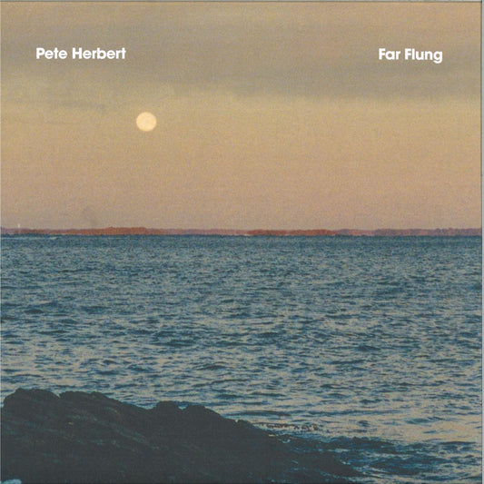 Pete Herbert - Far Flung (VINYL 12" Music For Swimming Pools MFSP011 2026) | NEW-