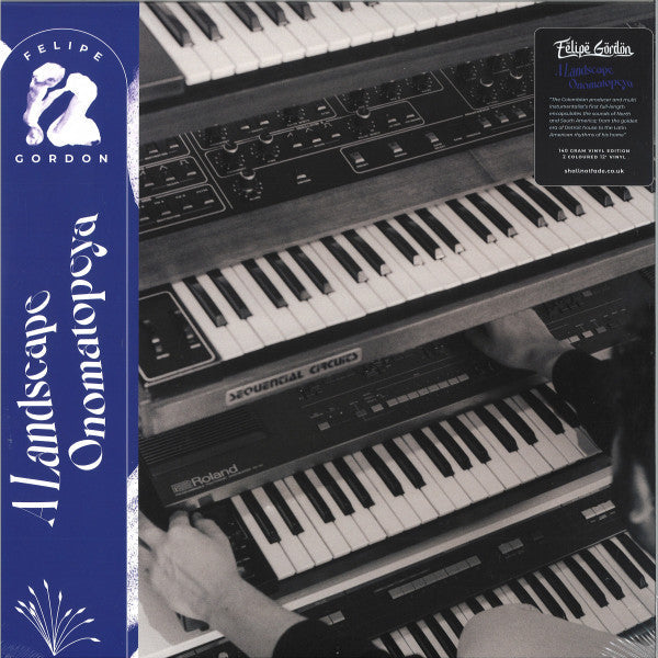 A Landscape Onomatopeya (2xVINYL) | Mint (M) Mint (M)-