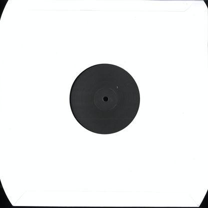 Kenny Dixon Jr. - Jan Edits & Remixes Vol. 2 (VINYL) | Mint (M) Mint (M)-