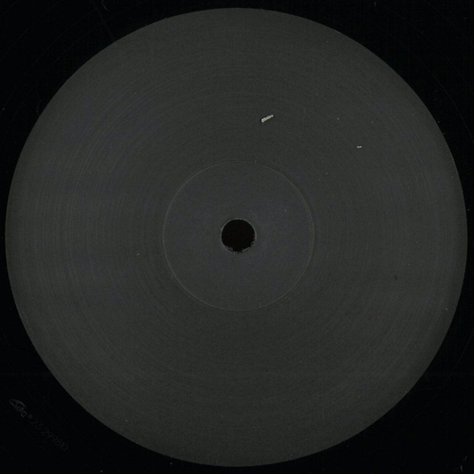 Kenny Dixon Jr. - Jan Edits & Remixes Vol. 2 (VINYL) | Mint (M) Mint (M)-