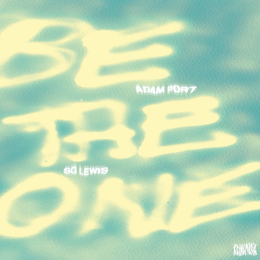 Adam Port, Sg Lewis - Be The One (VINYL) | Mint (M) Mint (M)-
