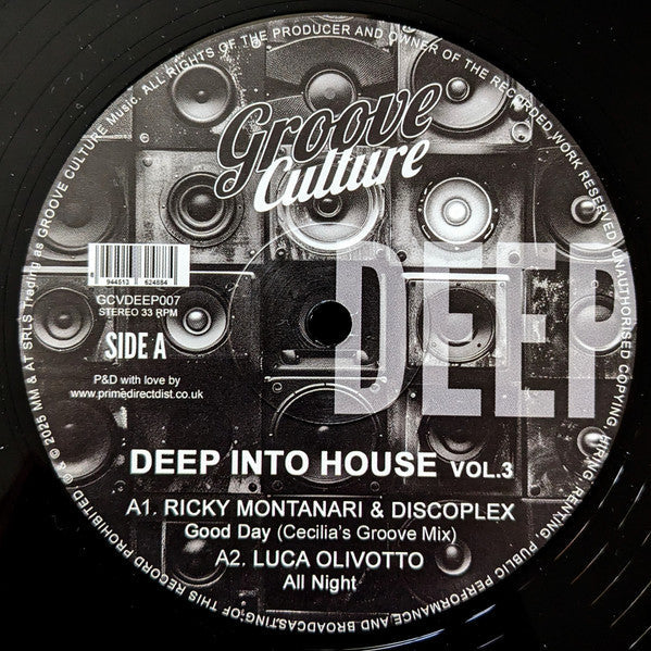 Various - Deep Into House Vol. 3 (VINYL 12") | Mint (M) Mint (M)-