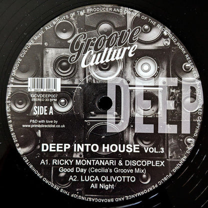 Various - Deep Into House Vol. 3 (VINYL 12") | Mint (M) Mint (M)-