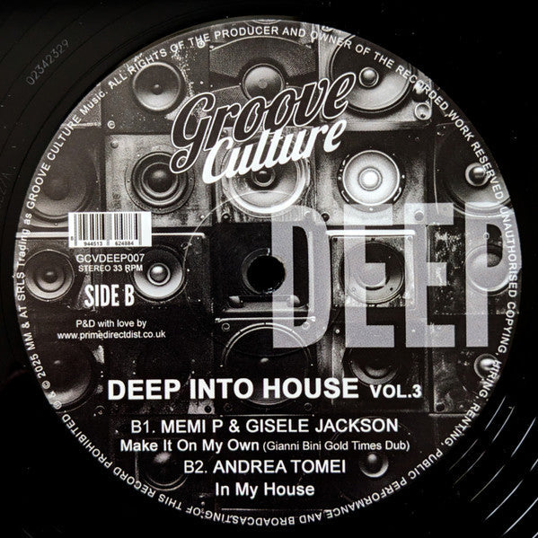 Various - Deep Into House Vol. 3 (VINYL 12") | Mint (M) Mint (M)-