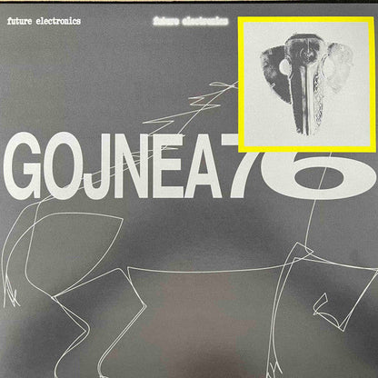 Gojnea76 - Punisher Braila (VINYL) | Mint (M) Mint (M)-