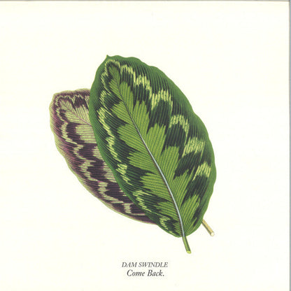 Dam Swindle - Come Back (GREEN VINYL 12" Aus Music AUS200B 2024) | NEW-