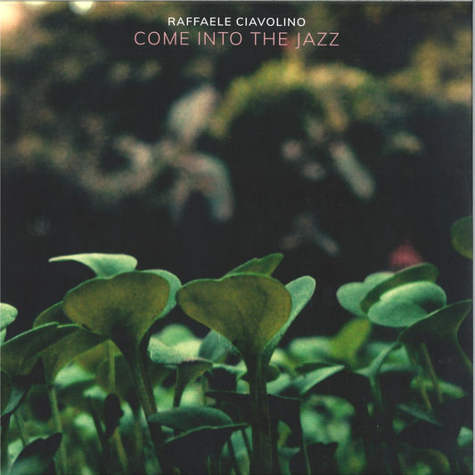 Raffaele Ciavolino - Come Into The Jazz (VINYL 2xLP GROOVE CULTURE GCVDEEP009 2026) *DINGED* | NEW Mint (M) Excellent+ (EX+)-