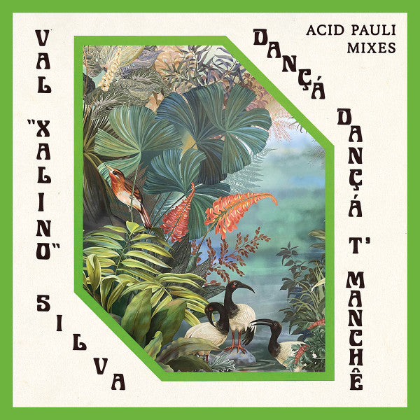 Dançá Dançá T'Manchê (Acid Pauli Mixes)(VINYL) | Mint (M) Mint (M)-