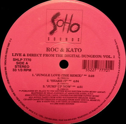 Roc & Kato - Live And Direct From The Digital Dungeon: Vol. 1 | Near Mint (NM) Generic-