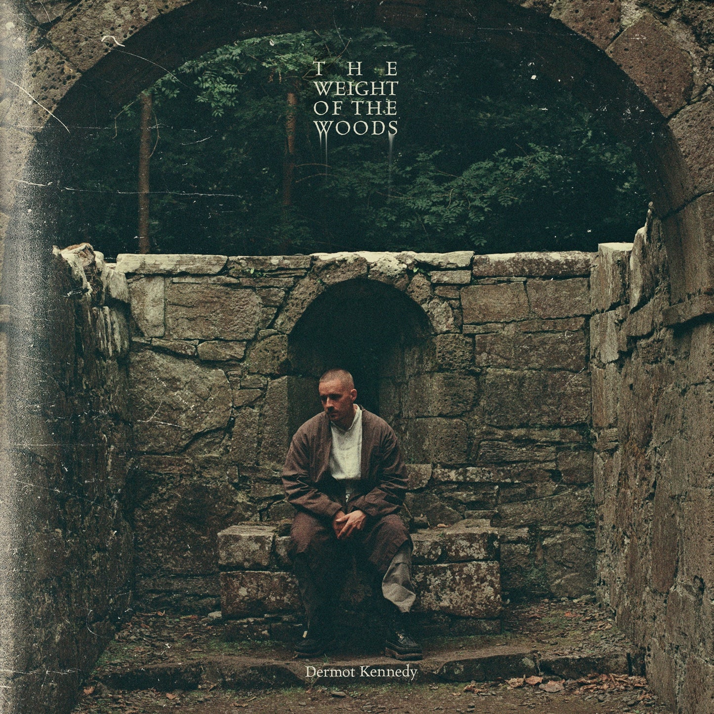 Dermot Kennedy - The Weight Of The Woods (VINYL) | Mint (M) Mint (M)-
