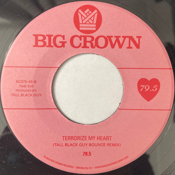 Terrorize My Heart (Disco Dub) | Mint (M) Generic-