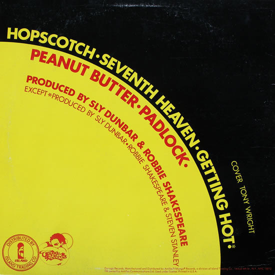 Larry Levan - Padlock (Special Mixes) (VINYL) | Near Mint (NM) Near Mint (NM)-