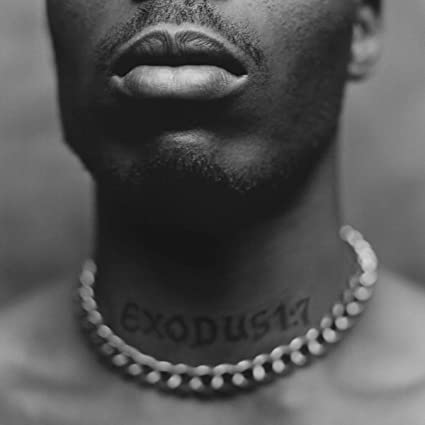 DMX - Exodus [Explicit Content](VINYL) | Mint (M) Mint (M)-