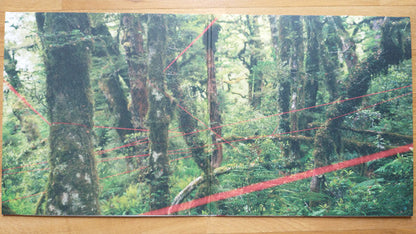 Four Tet - Everything Ecstatic (2x VINYL) | Mint (M) Mint (M)-