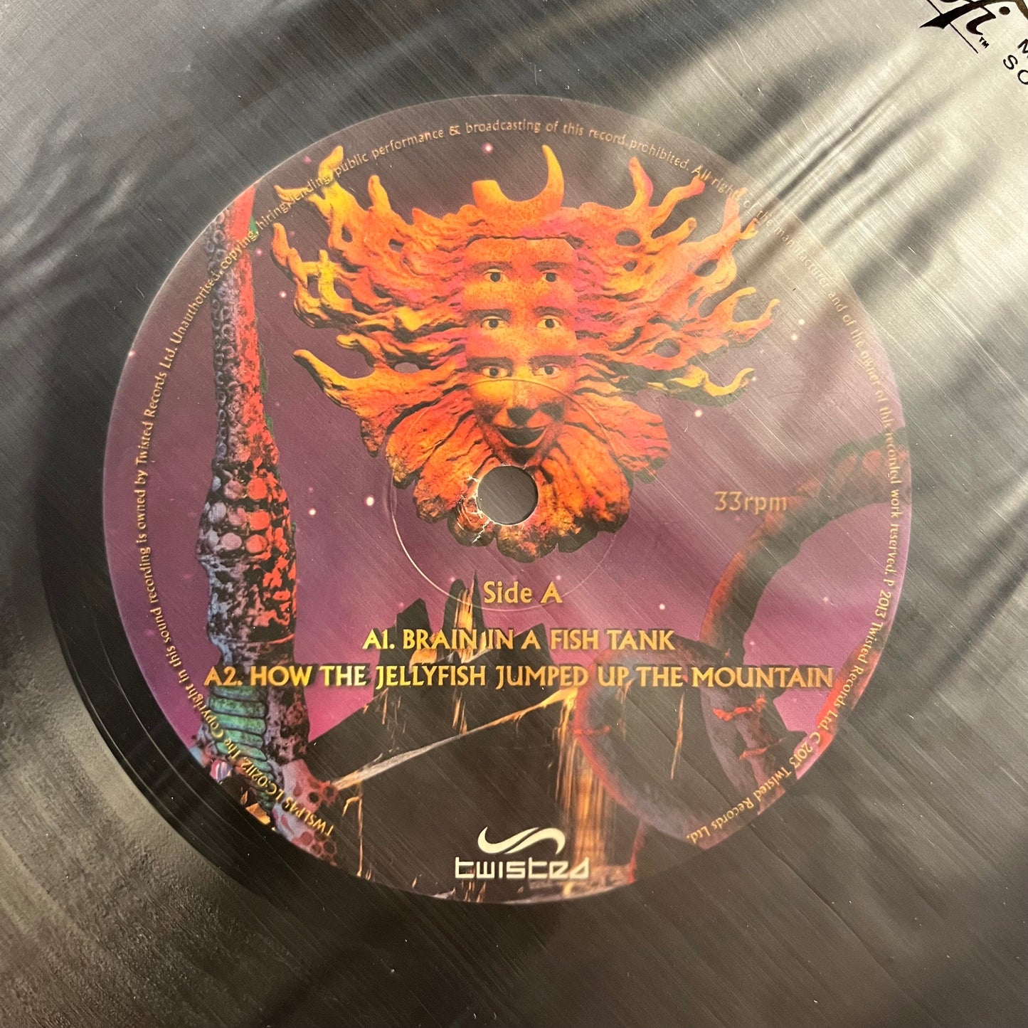 Shpongle - Museum Of Consciousness (RECORD 1 ONLY) | Near Mint (NM) Generic-