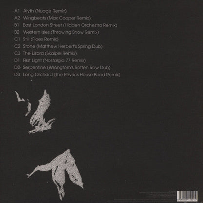 Hidden Orchestra - Dawn Chorus Remixes (2xVINYL) | Mint (M) Mint (M)-