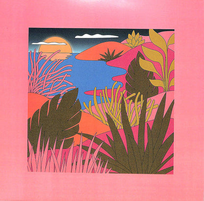 Coyote (5) - Love Letters (VINYL) | Mint (M) Mint (M)-