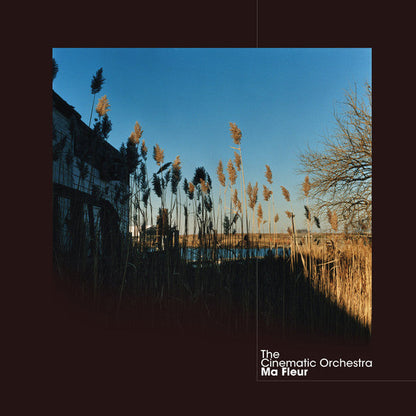 The Cinematic Orchestra - Ma Fleur (2xVINYL) | Mint (M) Mint (M)-
