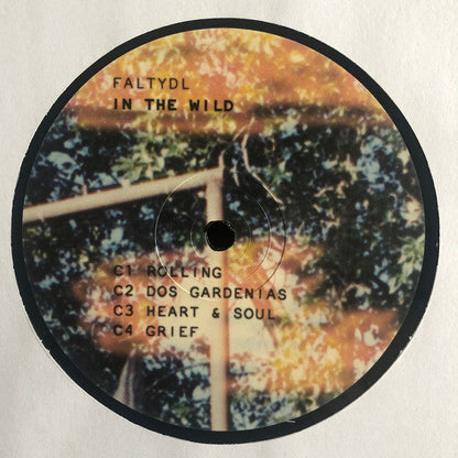 FaltyDL - In The Wild | Mint (M) Mint (M)-