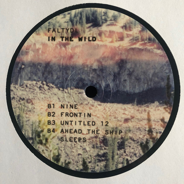 FaltyDL - In The Wild | Mint (M) Mint (M)-