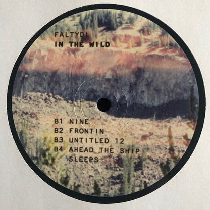 FaltyDL - In The Wild | Mint (M) Mint (M)-