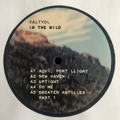 FaltyDL - In The Wild | Mint (M) Mint (M)-