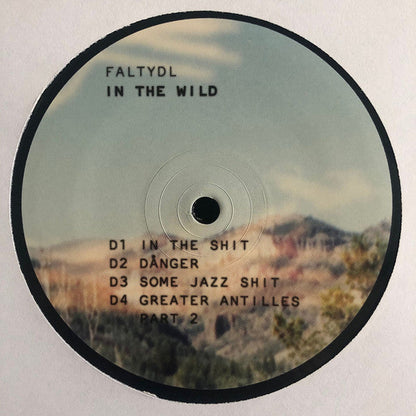 FaltyDL - In The Wild | Mint (M) Mint (M)-
