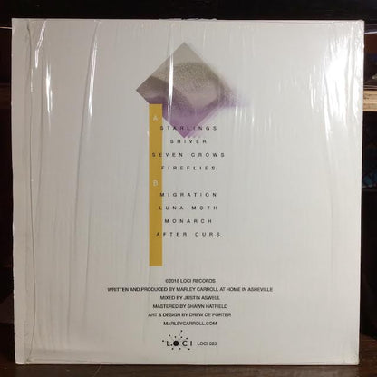 Marley Carroll - Flight Patterns (VINYL) | Near Mint- (NM-) Near Mint (NM)-