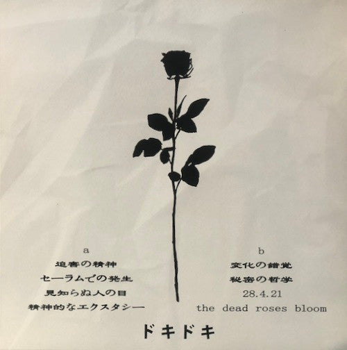 DΛRKNΣSS - Magician Whisper | Near Mint (NM) Near Mint (NM)-