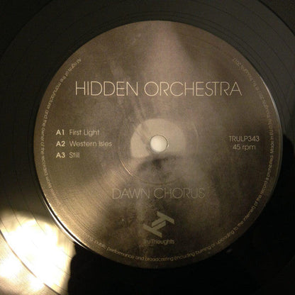 Dawn Chorus | Mint (M) Mint (M)-