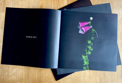Tor - Oasis Sky (VINYL) | Mint (M) Mint (M)-