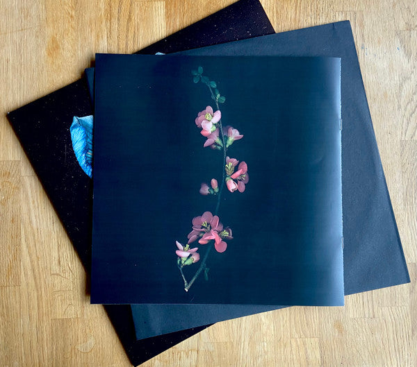 Tor - Oasis Sky (VINYL) | Mint (M) Mint (M)-
