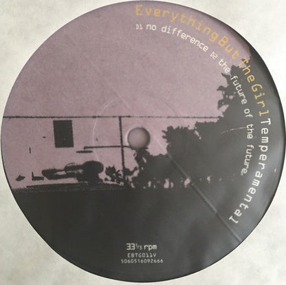 Everything But The Girl - Temperamental | Mint (M) Mint (M)-