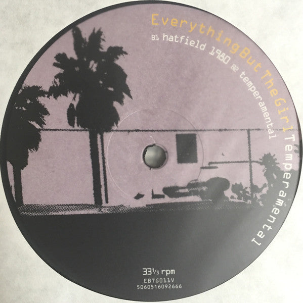 Everything But The Girl - Temperamental | Mint (M) Mint (M)-