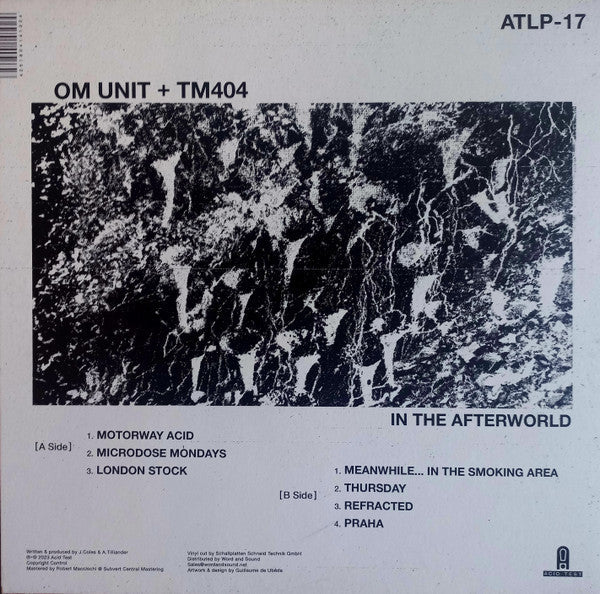 In The Afterworld | Mint (M) Mint (M)-