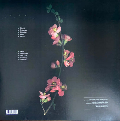 Tor - Oasis Sky (VINYL) | Mint (M) Mint (M)-
