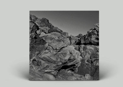 Pugilist - Found Sound (2xVINYL) | Mint (M) Mint (M)-