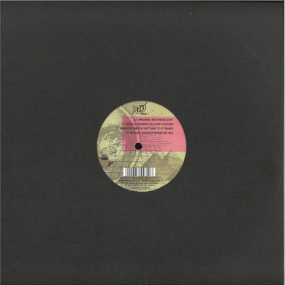 Lennie De Ice - We Are I.E. (VINYL 12" Hooj Choons HOOJ151) | NEW-
